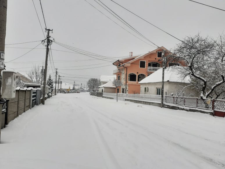 Foto:Boom93/N.Stojićević/ilustracija