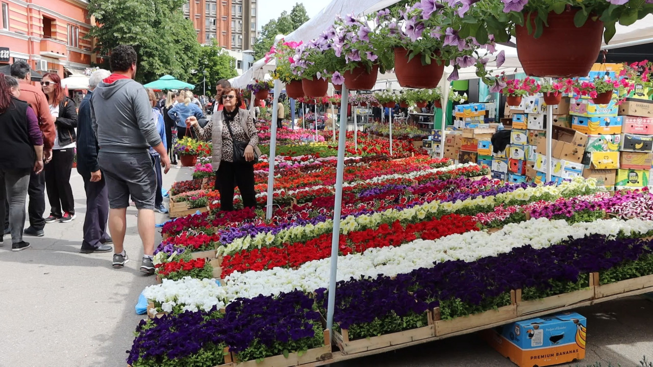 Foto: Boom93/M. Veljković
