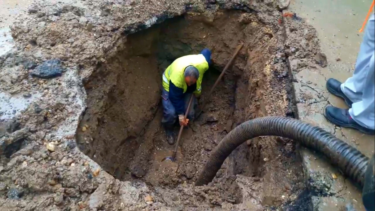 FOto: A. Dimitrijević
