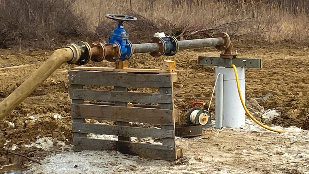 FOTO: M.  Veljković/Boom93/ilustracija