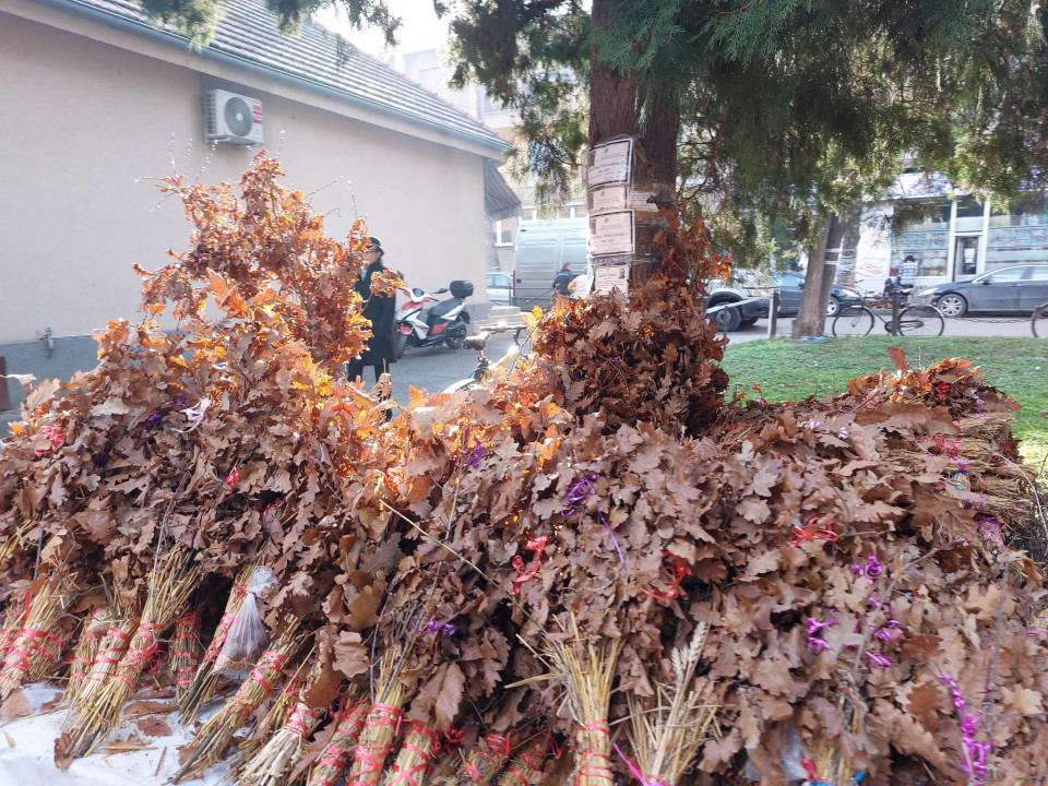 FOTO: Boom93/A.Stepanović