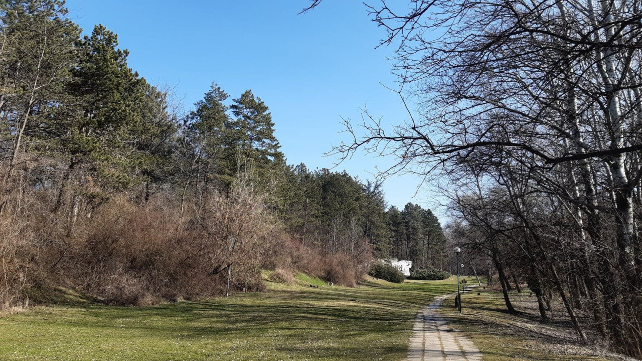 Foto T.S.  Čačalica