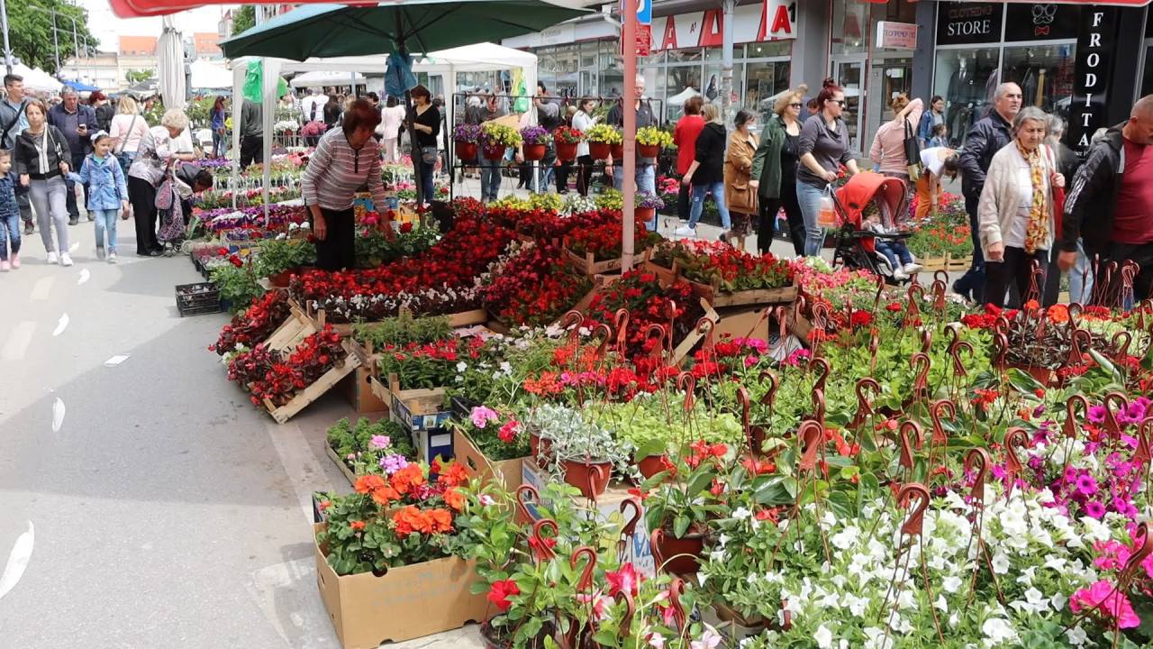 FOTO: Boom93/M.Veljković