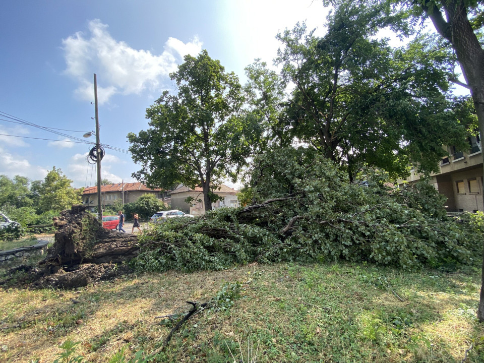 Foto: Boom93/ilustracija