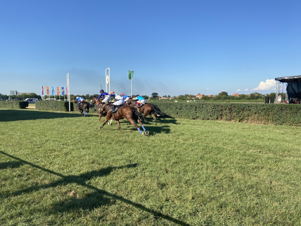 Foto: J. Milenković/Boom93 (ilustracija)