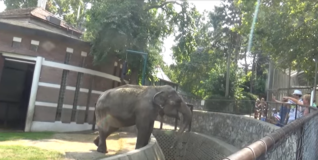 FOTO: Youtube/Screenshot
