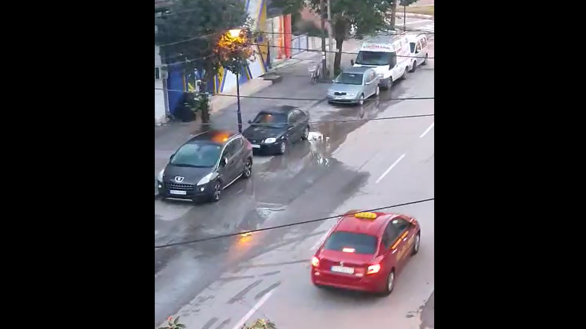 Sliku polslala Aleksandra Milenković