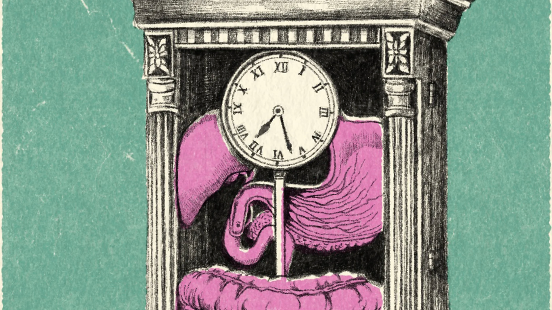 Kraće vreme prolaska hrane kroz creva, što u suštini znači češća stolica, povezano je sa zdravijim mikrobiomom 