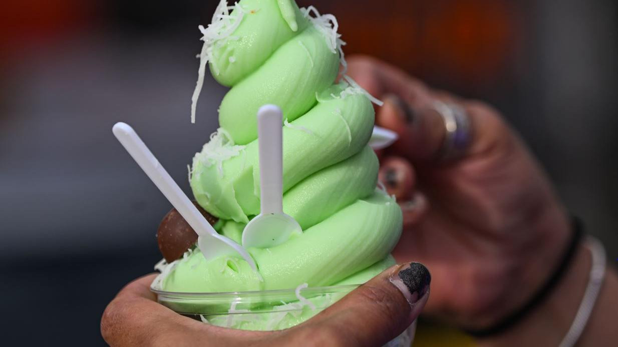 A person is holding an avocado flavoured icecream