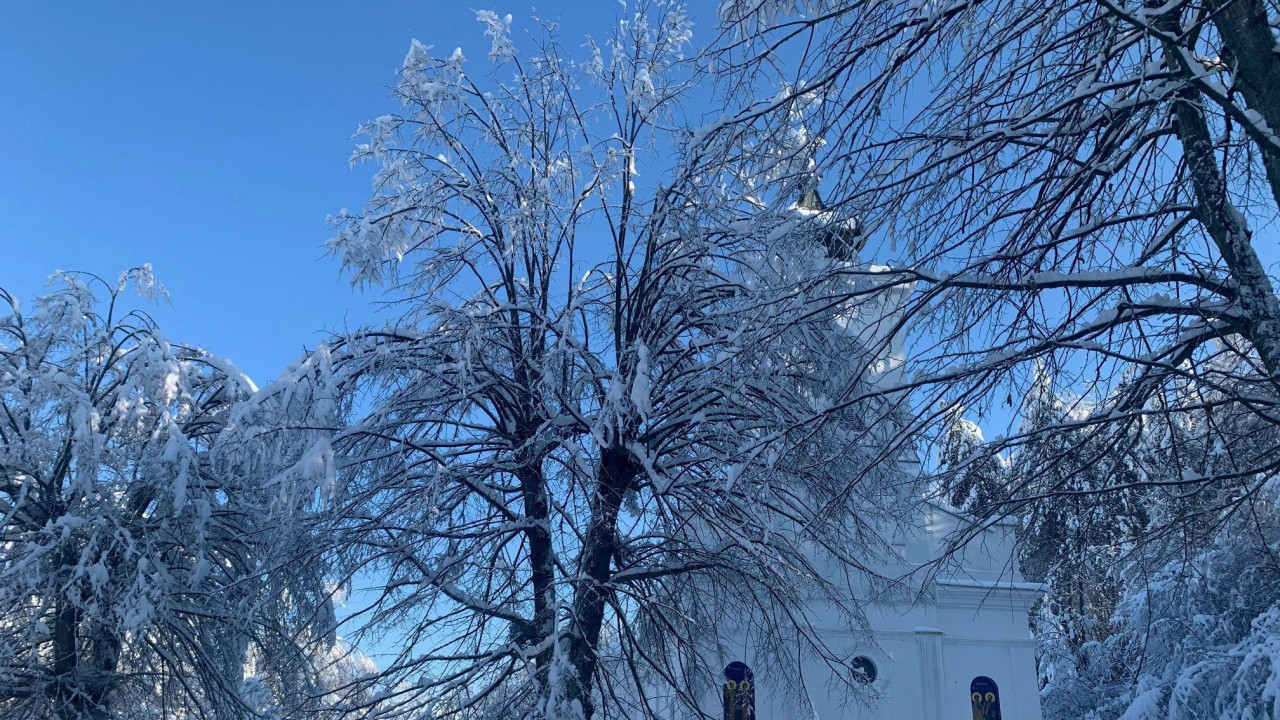 Zavejano drveće i crkva