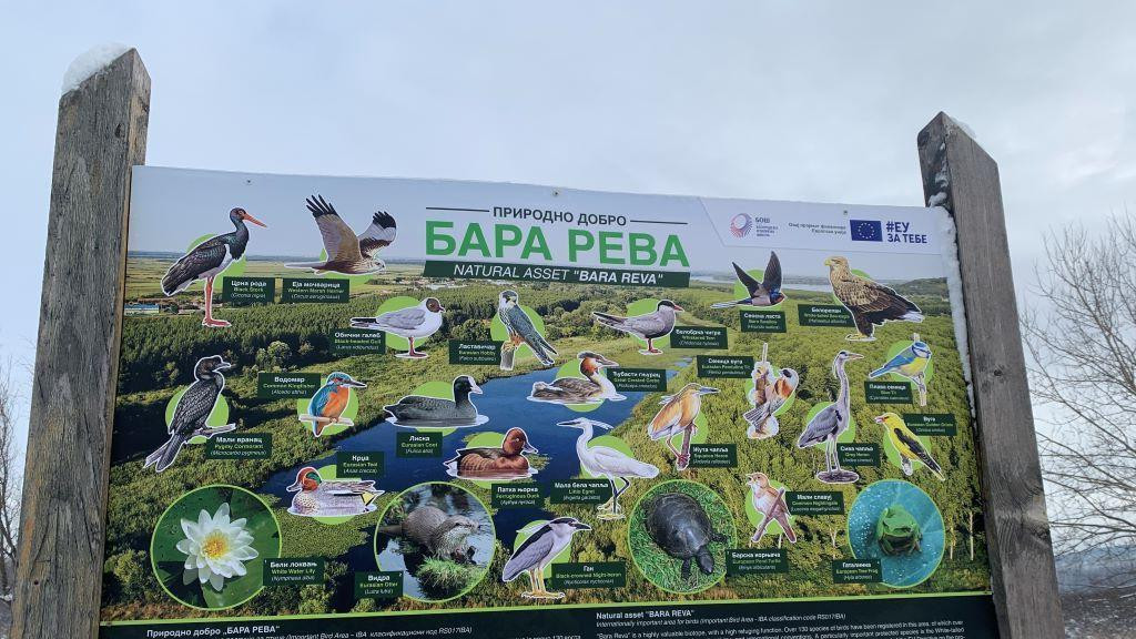 poster pored bare Reve na kome su nacrtane neke od vrsta koje ovde žive