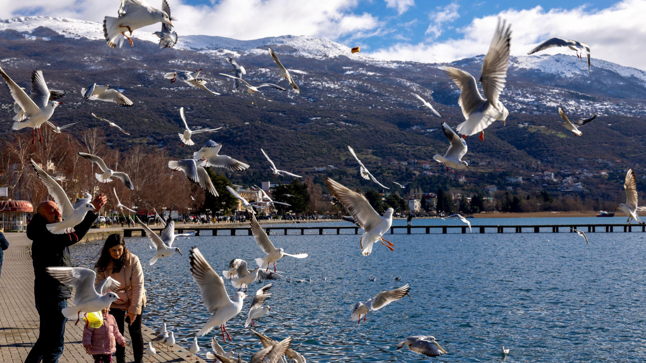 ohrid, ohridsko jezero, ljudi hrane ptice na obali ohridskog jezera