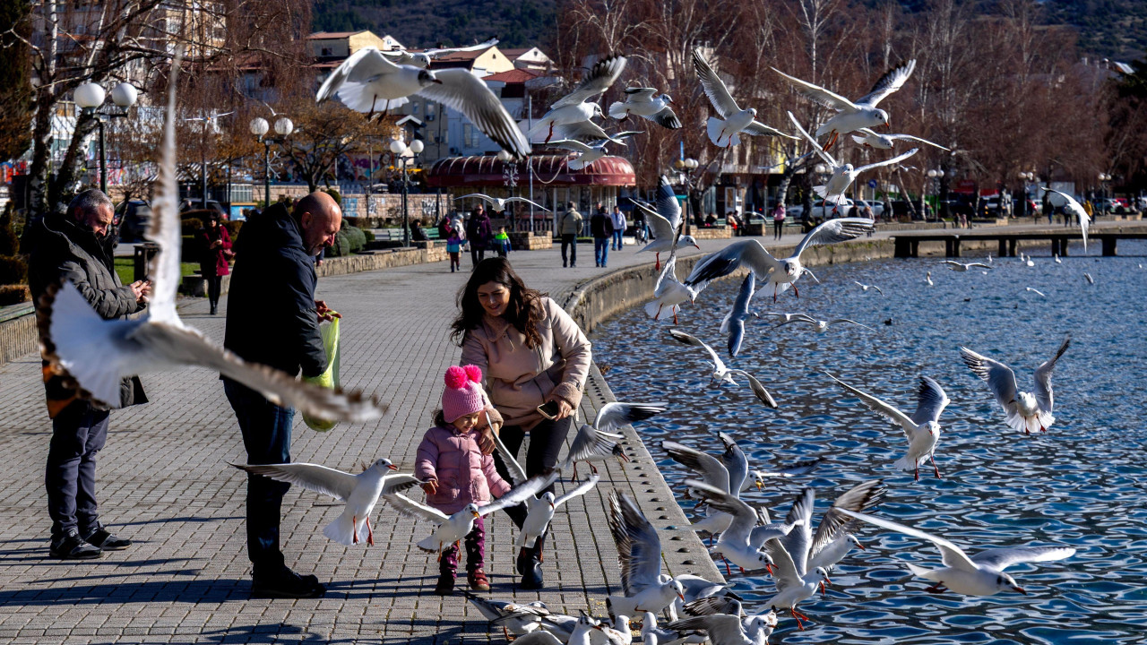 ohrid, ohridsko jezero, ljudi hrane ptice na obali ohridskog jezera
