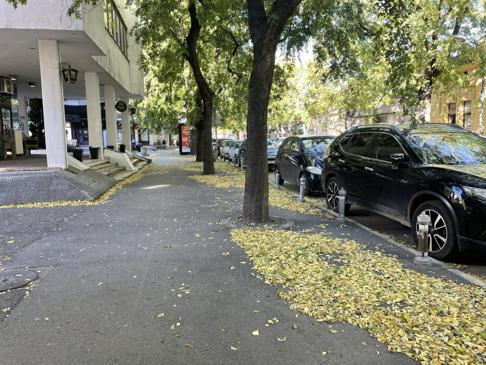 FOTO: A. Stepanović