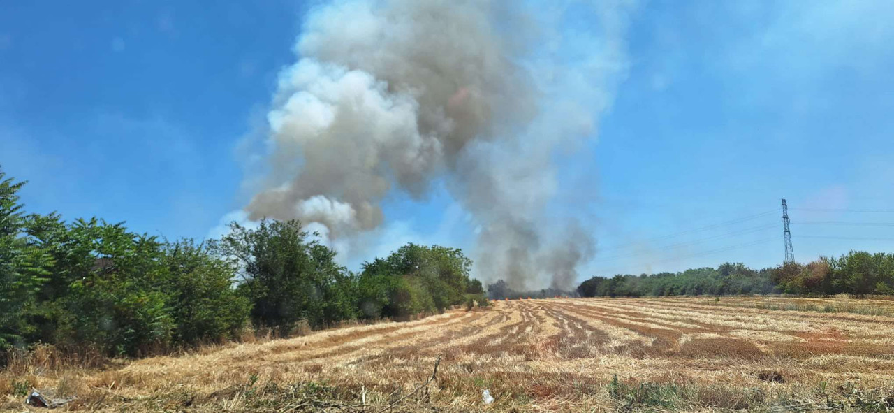 Sliku poslala Nevena