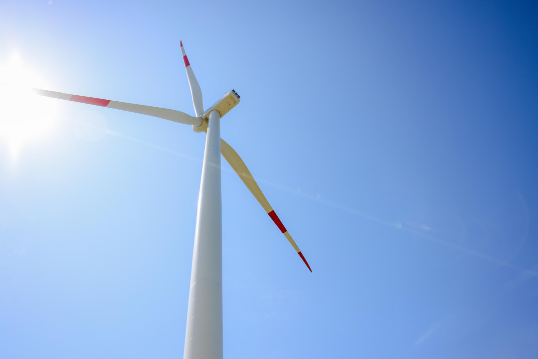 FOTO: Beta/Nenad Kostic