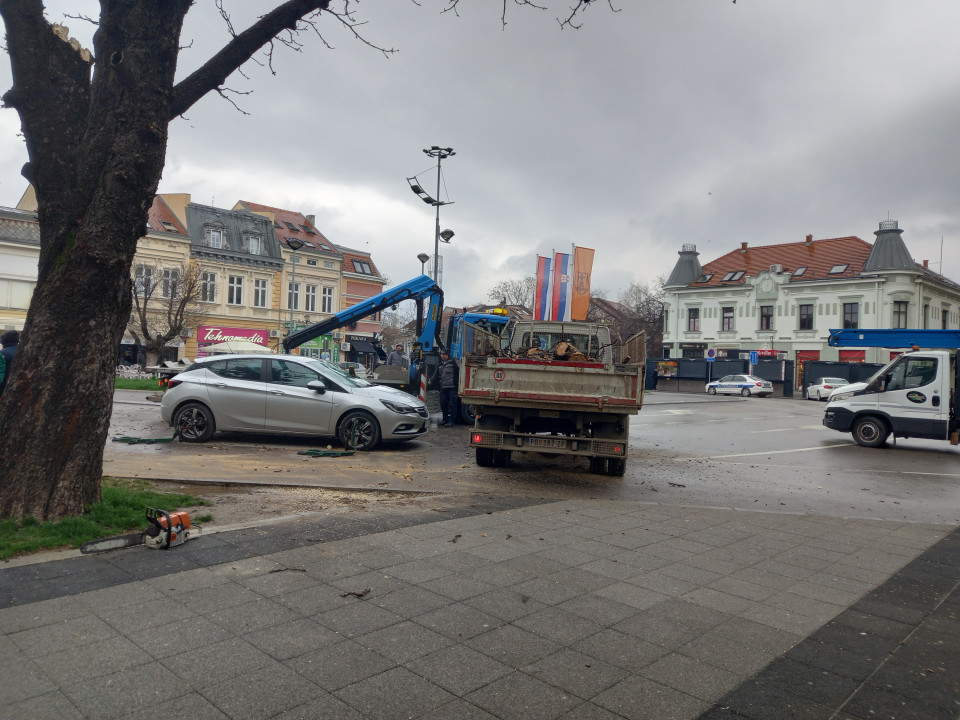 FOTO: N.Stojićević