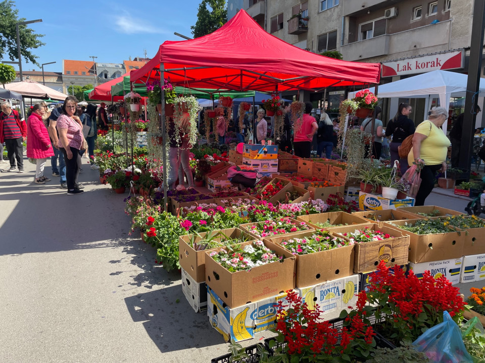 Foto: N. Stojićević/Boom93