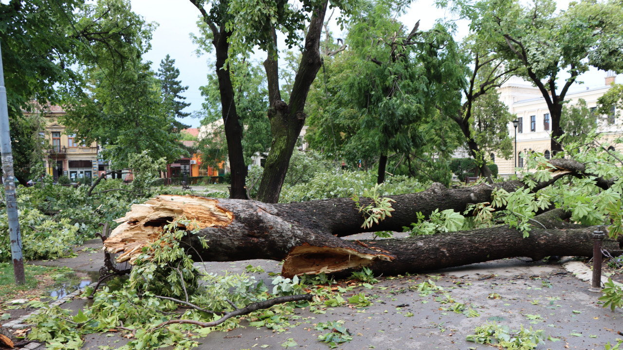 Foto: S. Lisac/Boom93/ Požarevac nakon oluje/ilustracija