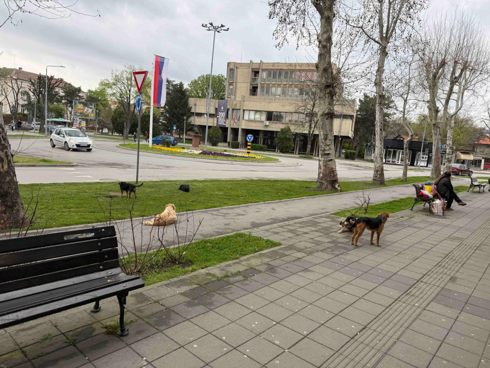 Foto: Gradski odbor Stranke slobode i pravde