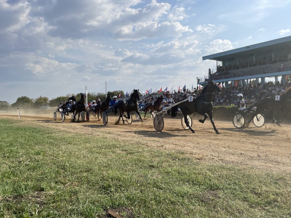 Foto: J. Milenković/Boom93/ilustracija