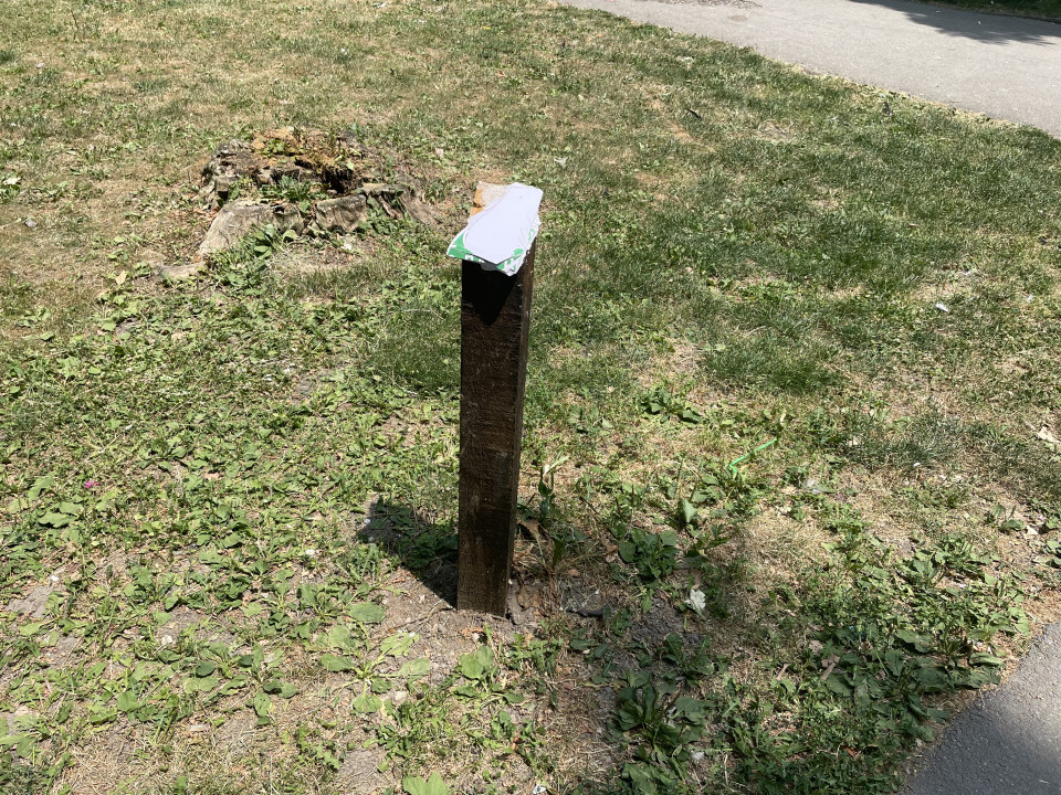 Sliku poslala Jovana