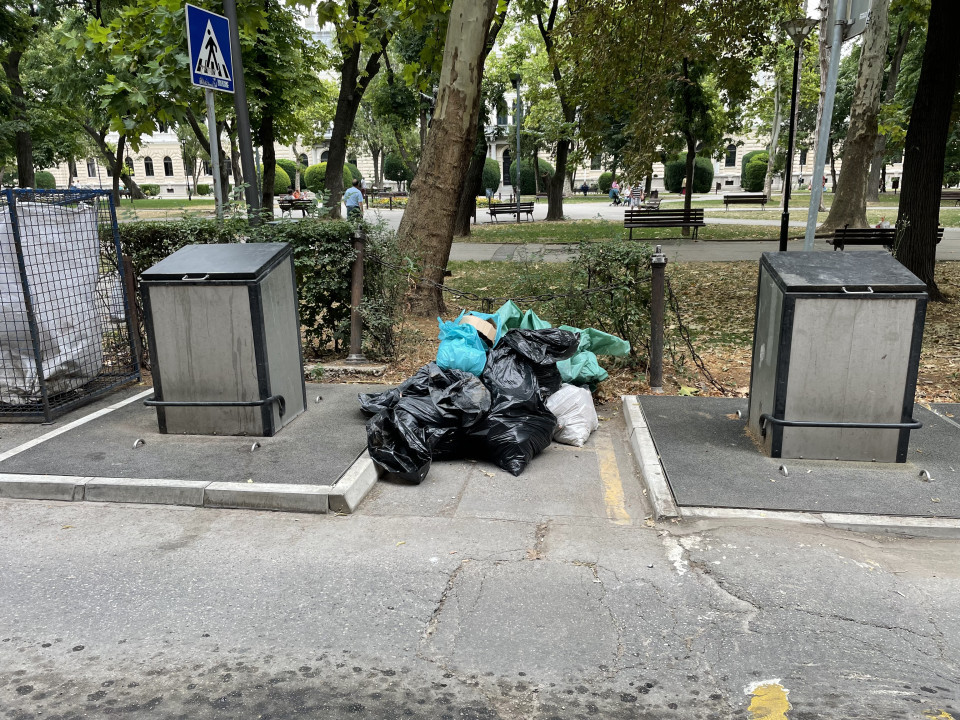 Sliku poslala Jelena