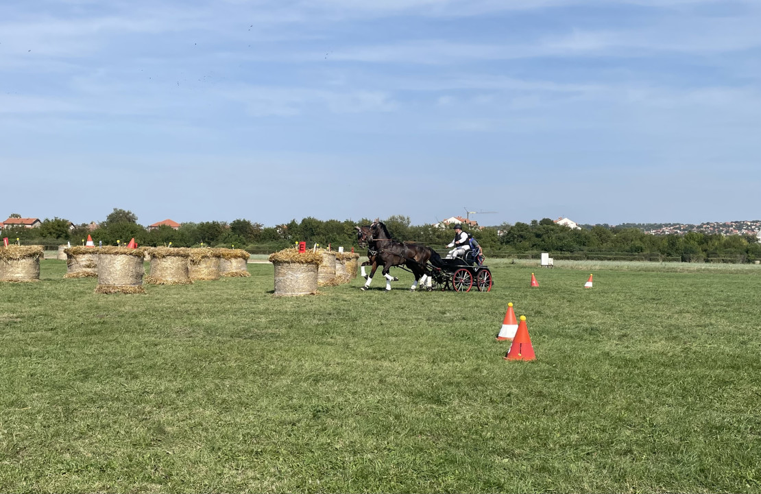 Foto: J. Milenković/Boom93