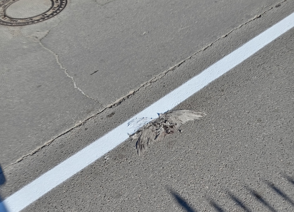 Fotografiju poslao Slobodan