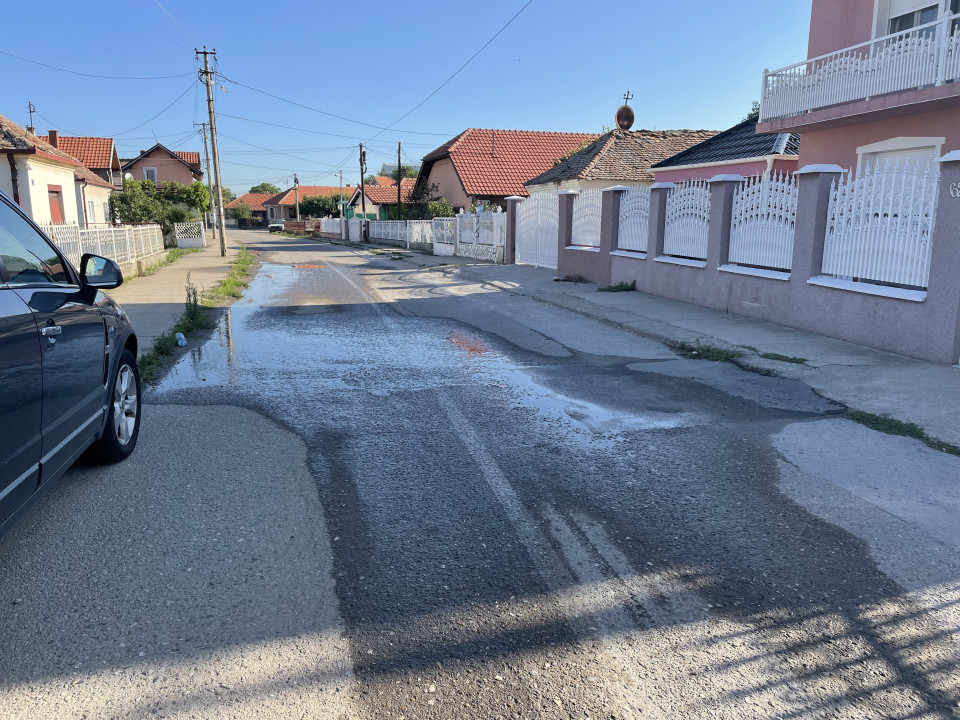 FOTO: N.Stojićević/Boom93