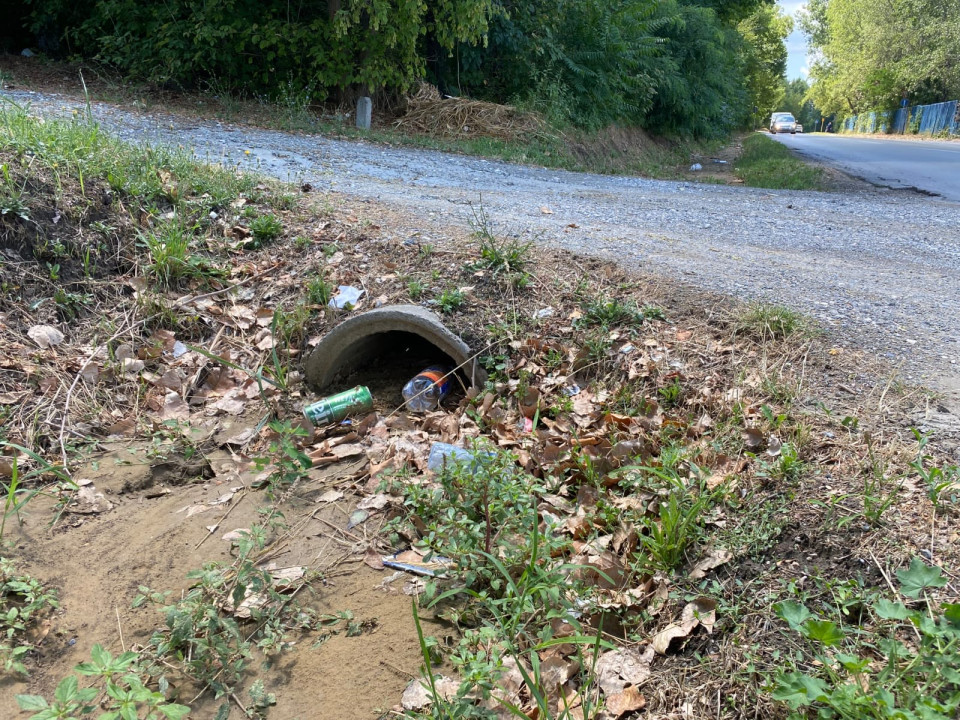 FOTO: Marko Stefanović