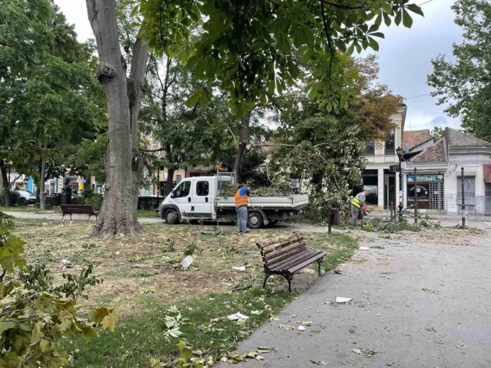 FOTO:N.Stojićević/Boom93