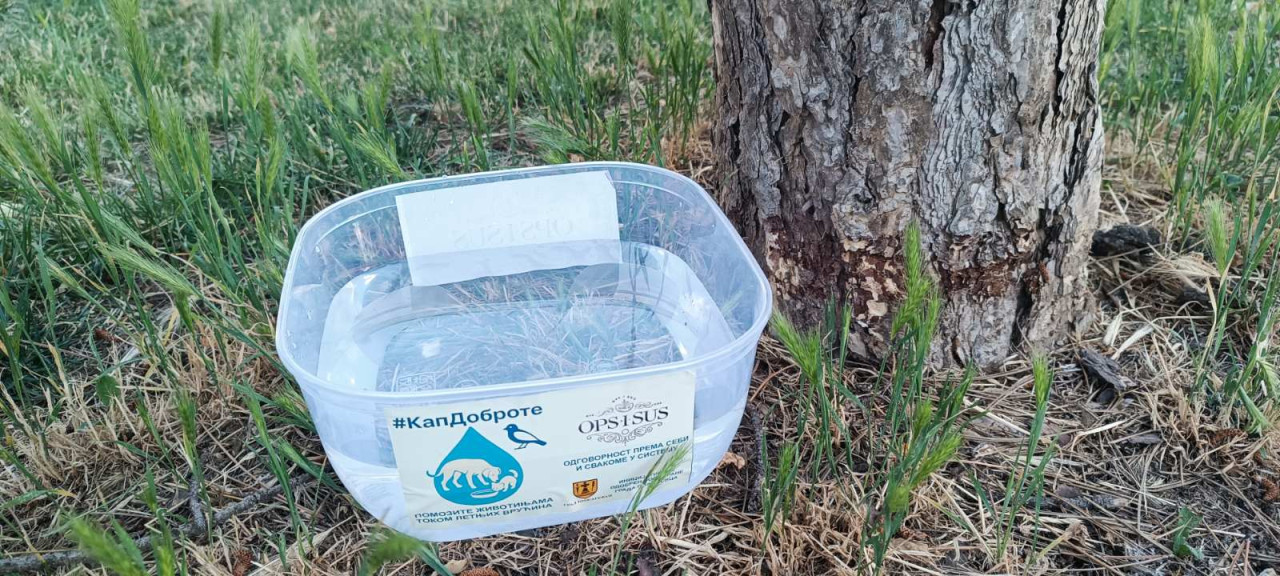 Foto: Udruženje OPSISUS