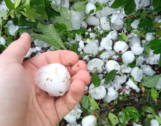 Foto: ilustracija/Silvija Petrović