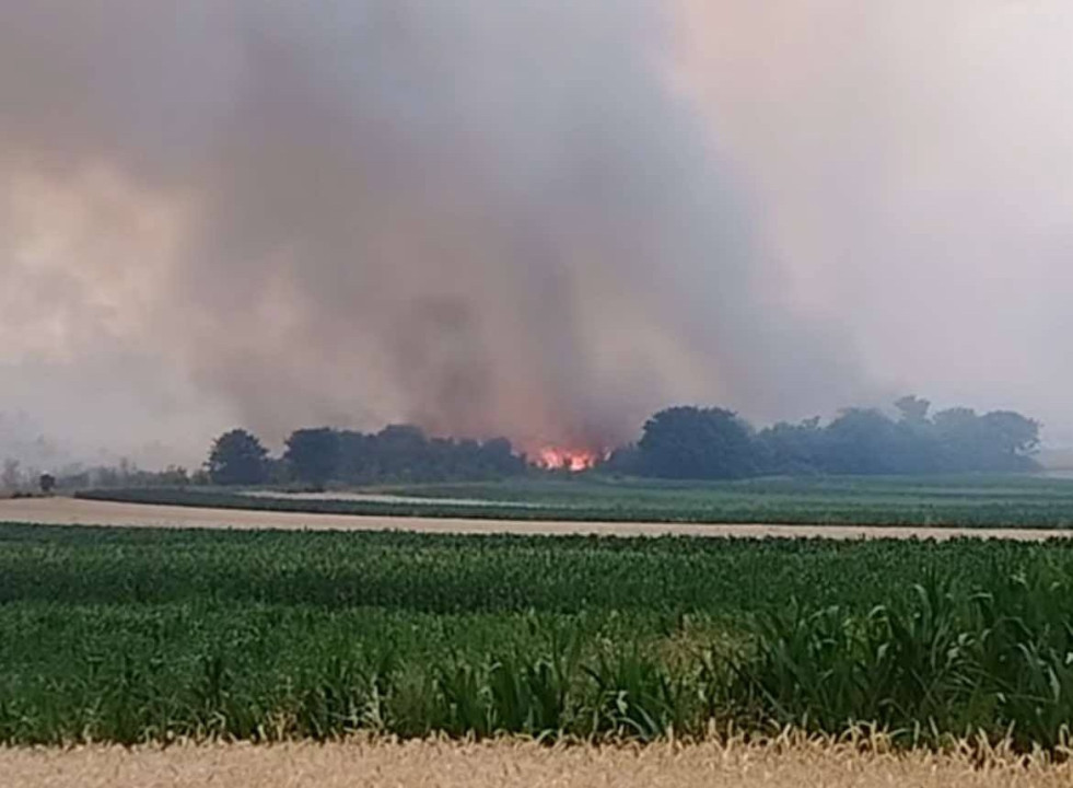 FOTO: Screenshot/Grupa “Vinci raj na zemlji”