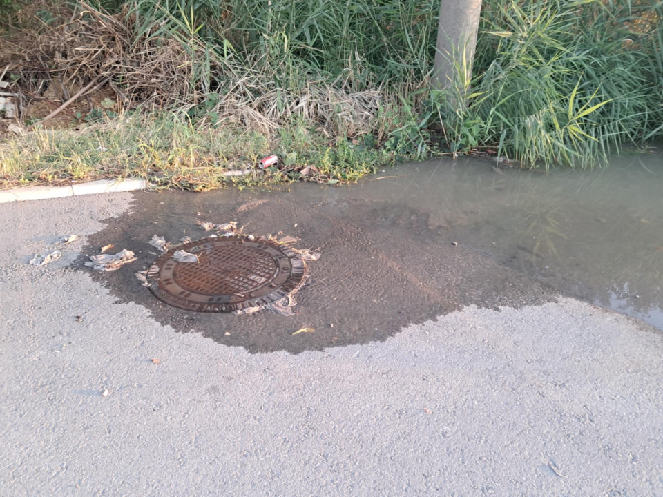 Fotografiju poslala Jelena