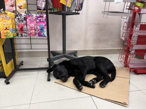 Fotografiju poslala Jasmina